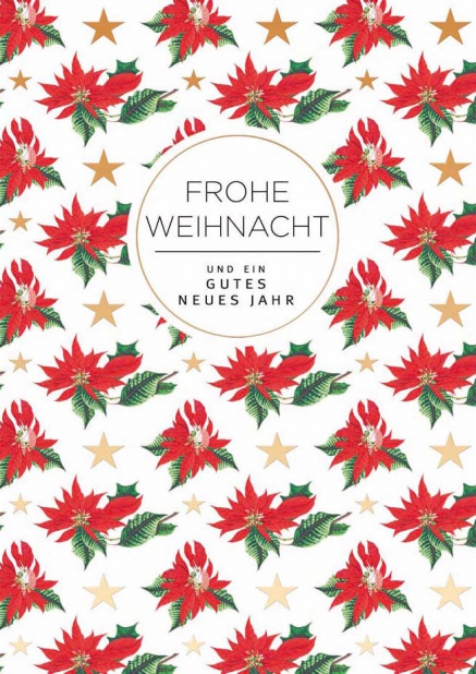 Online Weihnachtskarte mit vielen Weihnachtssternen Braun.