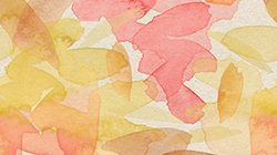 Illustration of water color painted colorful fall leaves