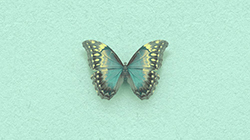 Illustration of green butterflies on light green background