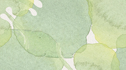 Illustration of water color painted green overlapping round leaves