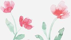 Illustration of water color painted red peony with green stems