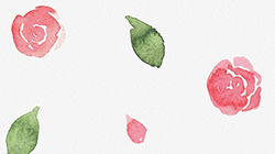 Illustration of water color painted red roses and green leafs