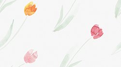 Hintergrund-Illustration mit roten und orangenen Tulpen